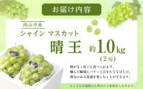 ぶどう&nbsp;2026年&nbsp;&nbsp;ご家庭用&nbsp;シャイン&nbsp;マスカット&nbsp;晴王&nbsp;約500g×2房&nbsp;ブドウ&nbsp;葡萄&nbsp;&nbsp;岡山県産&nbsp;国産&nbsp;フルーツ&nbsp;果物