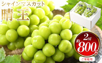 ぶどう&nbsp;2026年&nbsp;&nbsp;ご家庭用&nbsp;シャイン&nbsp;マスカット&nbsp;晴王&nbsp;約400g×2房&nbsp;ブドウ&nbsp;葡萄&nbsp;&nbsp;岡山県産&nbsp;国産&nbsp;フルーツ&nbsp;果物