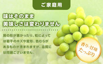 ぶどう&nbsp;2026年&nbsp;&nbsp;ご家庭用&nbsp;シャイン&nbsp;マスカット&nbsp;晴王&nbsp;約400g×2房&nbsp;ブドウ&nbsp;葡萄&nbsp;&nbsp;岡山県産&nbsp;国産&nbsp;フルーツ&nbsp;果物