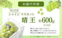 ぶどう&nbsp;2026年&nbsp;&nbsp;ご家庭用&nbsp;シャイン&nbsp;マスカット&nbsp;晴王&nbsp;約600g×1房&nbsp;ブドウ&nbsp;葡萄&nbsp;&nbsp;岡山県産&nbsp;国産&nbsp;フルーツ&nbsp;果物
