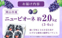ぶどう&nbsp;2026年&nbsp;ご家庭用&nbsp;ニュー&nbsp;ピオーネ&nbsp;3～6房&nbsp;約2kg&nbsp;ブドウ&nbsp;葡萄&nbsp;&nbsp;岡山県産&nbsp;国産&nbsp;フルーツ&nbsp;果物
