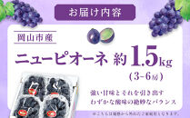 ぶどう&nbsp;2026年&nbsp;ご家庭用&nbsp;ニュー&nbsp;ピオーネ&nbsp;3～6房&nbsp;約1.5kg&nbsp;ブドウ&nbsp;葡萄&nbsp;&nbsp;岡山県産&nbsp;国産&nbsp;フルーツ&nbsp;果物