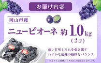 ぶどう&nbsp;2026年&nbsp;ご家庭用&nbsp;ニュー&nbsp;ピオーネ&nbsp;約500g×2房&nbsp;ブドウ&nbsp;葡萄&nbsp;&nbsp;岡山県産&nbsp;国産&nbsp;フルーツ&nbsp;果物