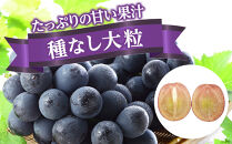 ぶどう&nbsp;2026年&nbsp;ご家庭用&nbsp;ニュー&nbsp;ピオーネ&nbsp;約400g×2房&nbsp;ブドウ&nbsp;葡萄&nbsp;&nbsp;岡山県産&nbsp;国産&nbsp;フルーツ&nbsp;果物