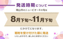 ぶどう&nbsp;2026年&nbsp;ご家庭用&nbsp;ニュー&nbsp;ピオーネ&nbsp;約400g×2房&nbsp;ブドウ&nbsp;葡萄&nbsp;&nbsp;岡山県産&nbsp;国産&nbsp;フルーツ&nbsp;果物