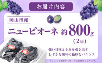 ぶどう&nbsp;2026年&nbsp;ご家庭用&nbsp;ニュー&nbsp;ピオーネ&nbsp;約400g×2房&nbsp;ブドウ&nbsp;葡萄&nbsp;&nbsp;岡山県産&nbsp;国産&nbsp;フルーツ&nbsp;果物