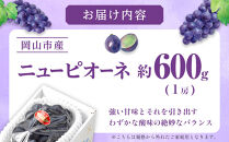ぶどう&nbsp;2026年&nbsp;ご家庭用&nbsp;ニュー&nbsp;ピオーネ&nbsp;約600g×1房&nbsp;ブドウ&nbsp;葡萄&nbsp;&nbsp;岡山県産&nbsp;国産&nbsp;フルーツ&nbsp;果物