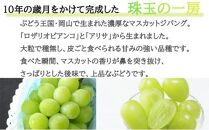 ぶどう 2024年 先行予約 マスカット ジパング 約700g×1房 ブドウ 葡萄  岡山県産 国産 フルーツ 果物 ギフト