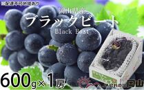 ぶどう 2024年 先行予約 ブラックビート 約600g×1房 ブドウ 葡萄  岡山県産 国産 フルーツ 果物 ギフト