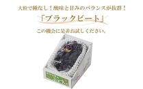 ぶどう 2024年 先行予約 ブラックビート 約600g×1房 ブドウ 葡萄  岡山県産 国産 フルーツ 果物 ギフト