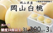 桃 2024年 先行予約 岡山 白桃 エース 3玉×約300g（3Lサイズ）JAおかやまのもも（早生種・中生種） もも モモ 岡山県産 国産 フルーツ 果物 ギフト