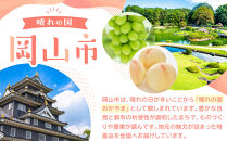 桃&nbsp;2026年&nbsp;岡山&nbsp;白桃&nbsp;エース&nbsp;3玉×約250g（2Lサイズ）JAおかやまのもも（早生種・中生種）&nbsp;もも&nbsp;モモ&nbsp;岡山県産&nbsp;国産&nbsp;フルーツ&nbsp;果物&nbsp;ギフト