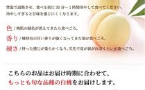 桃 2024年 先行予約 岡山 白桃 エース 5～10玉 約2.4kg  JAおかやまのもも（早生種・中生種） もも モモ 岡山県産 国産 フルーツ 果物 ギフト