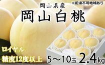 桃 2024年 先行予約 岡山 白桃 ロイヤル 5～10玉 約2.4kg JAおかやまのもも（早生種・中生種） もも モモ 岡山県産 国産 フルーツ 果物 ギフト