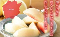 桃 2024年 先行予約 岡山 白桃 ロイヤル 4～8玉 約1.5kg JAおかやまのもも（早生種・中生種） もも モモ 岡山県産 国産 フルーツ 果物 ギフト[No.5220-0911]