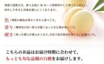 桃 2024年 先行予約 岡山 白桃 ロイヤル 4～8玉 約1.2kg JAおかやまのもも（早生種・中生種） もも モモ 岡山県産 国産 フルーツ 果物 ギフト