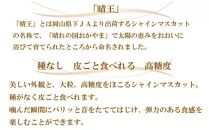 ぶどう 2024年 先行予約  シャイン マスカット 晴王 5房～10房 約5kg ブドウ 葡萄  岡山県産 国産 フルーツ 果物 ギフト