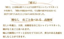 ぶどう 2024年 先行予約  シャイン マスカット 晴王 3房～6房 約1.5kg ブドウ 葡萄  岡山県産 国産 フルーツ 果物 ギフト