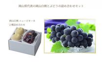 桃 ぶどう 2024年 先行予約 岡山 白桃 ロイヤル 2玉×約250g（2Lサイズ、早生種・中生種）ニュー ピオーネ 1房約500g 詰め合わせ 岡山県産 フルーツ