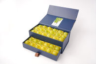 ぶどう&nbsp;2026年&nbsp;&nbsp;シャイン&nbsp;マスカット&nbsp;大粒のみ&nbsp;36粒&nbsp;ＪＥＷＥＬＢＯＸ&nbsp;ギフト&nbsp;贈り物&nbsp;岡山&nbsp;国産&nbsp;果物&nbsp;フルーツ&nbsp;シャイン&nbsp;マスカット