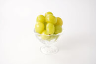 ぶどう&nbsp;2026年&nbsp;&nbsp;シャイン&nbsp;マスカット&nbsp;大粒のみ&nbsp;36粒&nbsp;ＪＥＷＥＬＢＯＸ&nbsp;ギフト&nbsp;贈り物&nbsp;岡山&nbsp;国産&nbsp;果物&nbsp;フルーツ&nbsp;シャイン&nbsp;マスカット