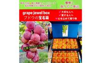 ぶどう 2025年 先行予約 クイーンニーナ 大粒のみ 36粒 ＪＥＷＥＬＢＯＸ ギフト 贈り物 岡山 国産 果物 フルーツ