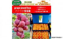 ぶどう&nbsp;2026年&nbsp;&nbsp;クイーンニーナ&nbsp;大粒のみ&nbsp;36粒&nbsp;ＪＥＷＥＬＢＯＸ&nbsp;ギフト&nbsp;贈り物&nbsp;岡山&nbsp;国産&nbsp;果物&nbsp;フルーツ