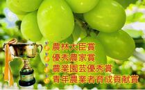 ぶどう&nbsp;2026年&nbsp;&nbsp;クイーンニーナ&nbsp;大粒のみ&nbsp;36粒&nbsp;ＪＥＷＥＬＢＯＸ&nbsp;ギフト&nbsp;贈り物&nbsp;岡山&nbsp;国産&nbsp;果物&nbsp;フルーツ