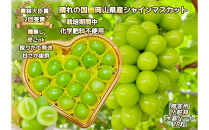 ぶどう&nbsp;2026年&nbsp;&nbsp;シャインマスカット&nbsp;大粒厳選秀品18粒&nbsp;宝石箱&nbsp;&nbsp;農林大臣賞2回受賞&nbsp;ギフト&nbsp;贈答用&nbsp;贈り物&nbsp;岡山&nbsp;果物&nbsp;フルーツ&nbsp;&nbsp;採りたて発送&nbsp;農家直送&nbsp;数量限定&nbsp;新鮮&nbsp;水晶ハート化粧箱