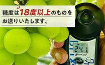 ぶどう 2025年 先行予約 シャインマスカット 秀品 約2kg 合計3～5房 農林大臣賞受賞 岡山 国産 果物 フルーツ シャイン マスカット 2025年6月下旬から発送