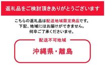 ぶどう 2025年 先行予約 クイーンニーナ 厳選 秀品 粒だけ 約1kg 岡山 国産 果物 フルーツ  2025年8月上旬から発送