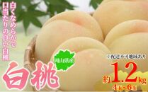 桃&nbsp;2026年&nbsp;岡山県産&nbsp;白桃&nbsp;約1.2kg&nbsp;4～6玉&nbsp;お届け&nbsp;7月上旬～7月下旬