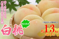 桃&nbsp;2026年&nbsp;岡山県産&nbsp;白桃&nbsp;約1.3kg&nbsp;5～7玉&nbsp;お届け&nbsp;7月上旬～7月下旬