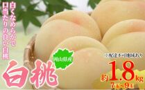 桃&nbsp;2026年&nbsp;岡山県産&nbsp;白桃&nbsp;約1.8kg&nbsp;7～9玉&nbsp;お届け&nbsp;7月上旬～7月下旬