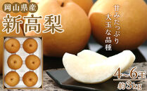 梨 2025年 岡山県産 新高梨 約3kg 4～6玉 お届け 10月中旬～11月中旬【梨 なし 果物 フルーツ 新鮮 岡山県 岡山市 おすすめ 人気】