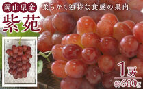 ぶどう&nbsp;2026年&nbsp;紫苑&nbsp;1房&nbsp;約600g&nbsp;岡山県産&nbsp;お届け&nbsp;11月上旬～11月下旬【葡萄&nbsp;ぶどう&nbsp;果物&nbsp;フルーツ&nbsp;新鮮&nbsp;岡山県&nbsp;岡山市&nbsp;おすすめ&nbsp;人気】