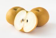 梨 2025年 岡山県産 あたご梨 約900g 1玉 お届け 11月下旬～12月中旬【梨 なし 果物 フルーツ 新鮮 岡山県 岡山市 おすすめ 人気】