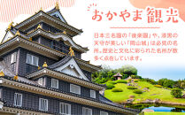 梨 2025年 岡山県産 あたご梨 約900g 1玉 お届け 11月下旬～12月中旬【梨 なし 果物 フルーツ 新鮮 岡山県 岡山市 おすすめ 人気】