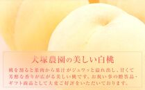 桃 2025年 先行予約 贈答用 岡山市一宮産 白桃（早生、中生種）約1.7kg 4～6玉 もも モモ フルーツ 果物 ギフト 犬塚農園