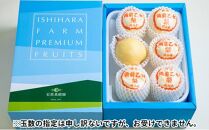 梨 2024年 先行予約 備前乙女梨（鴨梨） 5～6玉入り（3kg以上）贈答箱 ナシ なし 岡山県産 国産 フルーツ 果物 ギフト 石原果樹園