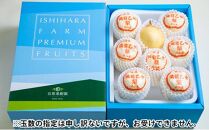 梨 2024年 先行予約 備前乙女梨（鴨梨） 6～9玉入り（4kg以上）贈答箱 ナシ なし 岡山県産 国産 フルーツ 果物 ギフト 石原果樹園