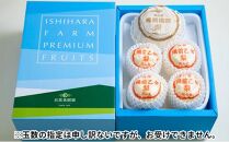 【終了】梨 2024年 先行予約 備前横綱梨（あたご梨） 超大玉1玉 1.3kg～1.4kg・備前乙女梨（鴨梨） 2～4玉 詰合せ 合計3.0kg以上 贈答箱 岡山県産 フルーツ ギフト 石原果樹園