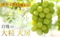 ぶどう 2024年 先行予約 黒川農園 自慢 ! の 大粒 大房 シャイン マスカット 1房 700g以上 ブドウ 葡萄  岡山県産 国産 フルーツ 果物 ギフト 