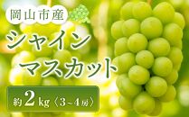 シャインマスカット 3～4房入り 合計約2kg ぶどう 葡萄 フルーツ 果物 岡山市産 2024年