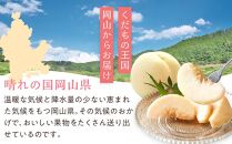 桃 2025年 先行予約 清水 白桃 6～8玉入 約2.0kg 岡山市一宮地区産 もも モモ フルーツ 果物 ギフト