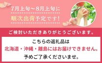 桃 2025年 先行予約 清水 白桃 6～8玉入 約2.0kg 岡山市一宮地区産 もも モモ フルーツ 果物 ギフト