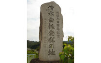 桃&nbsp;2026年&nbsp;清水&nbsp;白桃&nbsp;6～8玉入&nbsp;約2.0kg&nbsp;岡山市一宮地区産&nbsp;もも&nbsp;モモ&nbsp;フルーツ&nbsp;果物&nbsp;ギフト