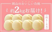 桃 2025年 先行予約 岡山 白桃 6～8玉入 約2.0kg 岡山市一宮地区産 もも モモ フルーツ 果物 ギフト