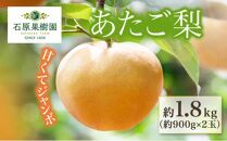 梨 2024年 先行予約 あたご梨 約900g×2玉 化粧箱 ナシ なし 岡山県産 国産 フルーツ 果物 ギフト 石原果樹園