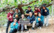 梨 2024年 先行予約 あたご梨 約900g×2玉 化粧箱 ナシ なし 岡山県産 国産 フルーツ 果物 ギフト 石原果樹園